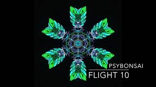 Progressive Psytrance Mix October 2018 HDFlight 10 [upl. by Alyahsal]