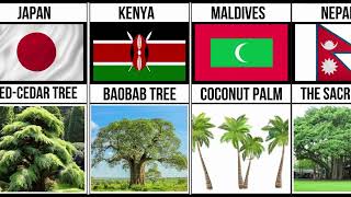 List of National Tree From Different Countries  National Tree With There Countries [upl. by Tierell]