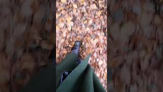 ASMR Herrliche HERBST Geräusche blätterrascheln elbuferweg asmr asmrsounds [upl. by Auohc132]