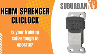 Dog Trainer Reviews Herm Sprenger ClicLock Buckle [upl. by Fritze]