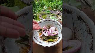 Primitive Outdoor Cooking Delicious Fish Cooked the OldFashioned Way [upl. by Anairuy]