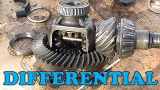 How a Differential Works [upl. by Refinney961]