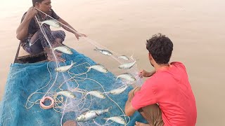 River big hilsa fish catching video in Bangladesh [upl. by Berton933]