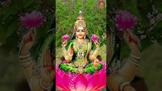 ತುಳದೇವಿ 108 ಜಪ ಮಂತ್ರ  Tulasi 108 Japa Mantra  Tulasi Festival Bhakthi Sudhe Devotional Video [upl. by Adriaens479]