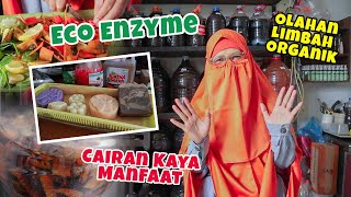 Mengenal Eco Enzyme Cairan Kaya Manfaat  Cara Membuat Eco Enzyme  Kelola Sampah Dapur ecoenzyme [upl. by Paton974]