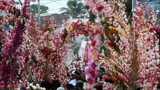 El Salvador celebrates its Flower and Palm festival [upl. by Yrdnal]