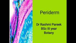 periderm BSc III [upl. by Eradis]