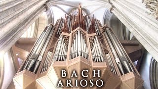 JS BACH  ARIOSO  THE ORGAN OF ST LAMBERTI MÜNSTER GERMANY  JONATHAN SCOTT [upl. by Egan]