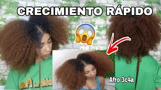 COMO HACER CRECER EL PELO AFRO RIZADO RÁPIDO 😱RUTINA CRECIMIENTO Y ANTICAÍDA ✨ Rachell Santos [upl. by Franzen]