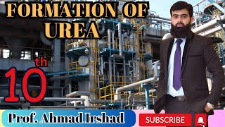 161 Formation of Urea l Manufacturing of Urea  Chemistry  Class 10th  Chapter 16 [upl. by Sucirdor]