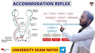 Accommodation Reflex  Special Sense Physiology [upl. by Nadnarb102]