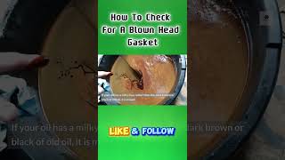 Blown Head Gasket How to Check in 60 Seconds Shorts CarProblems HeadGasketCheck DIYMechanic [upl. by Edobalo141]