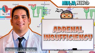 Adrenal Insufficiency  Clinical Medicine [upl. by Anev]