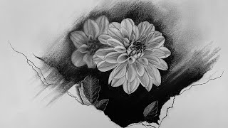 Dahlia Pinnata  Charcoal Drawing  p3vstudio [upl. by Deibel]