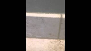 How to grout a tile floor and base molding properly [upl. by Yecac]