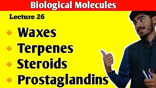 Waxes  Terpenes  Steroids  Cholesterol  Prostaglandins  Lipids Class 11  Class 11 Biology [upl. by Anaiv]