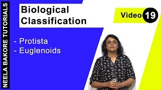 Biological Classification  NEET  Protista  Euglenoids  Neela Bakore Tutorials [upl. by Sherburn]