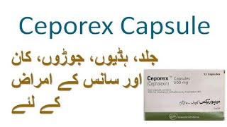 ceporex capsule 500mg uses  ceporex capsule 250mg uses  ceporex capsule benefits and side effects [upl. by Engedi]