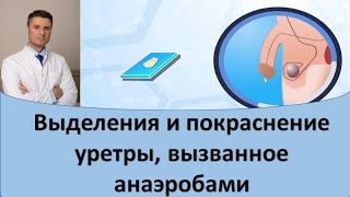 Выделения и покраснение уретры вызванные анаэробами [upl. by Luhey]