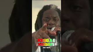 REGGAE RIDDIMS MIXX reggae reggaeton reggaemusic dancehall dj jamaica youtubeshorts riddim [upl. by Einhoj]