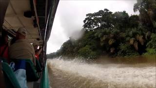 Tortuguero National Park [upl. by Aaberg]