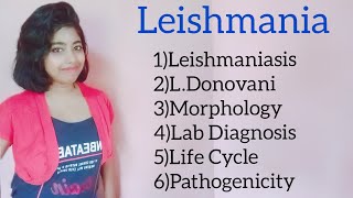 Leishmania Leishmaniasis Kalaazar Morphology amp lab diagnosis including its life cycle [upl. by Chris]