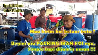 Tips PACKING IKAN KOI YANG SEDERHANA TAPI AMAN  Pengiriman ikan koi keluar kota dg murah amp aman [upl. by Elam815]