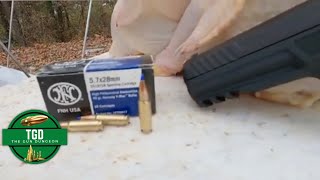 57X28 SS197SR 40gr Hornady Vmax Ballistic Chicken Test [upl. by Eissim]