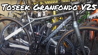 Toseek Granfondo V25 Bike Check [upl. by Otanutrof]