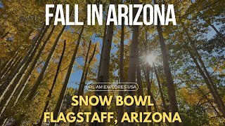 Experience Breathtaking Fall Colors  50  Explore Flagstaff Arizona  Relaxing Music [upl. by Kaleb]