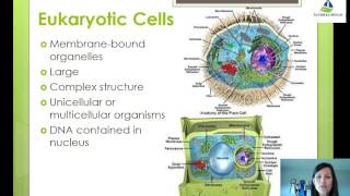 Cell Types [upl. by Hameerak]