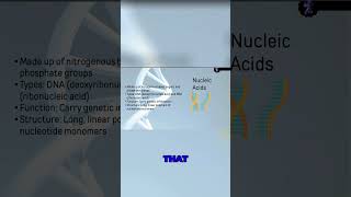 DNA vs RNA Unveiling the Secrets of Nucleic Acids [upl. by Timotheus]