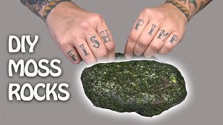 SIMPLE way to attach moss CHEAP and EASY [upl. by Woodhouse]