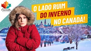 O FRIO NÃO É O PIOR PROBLEMA NO CANADÁ [upl. by Kial]