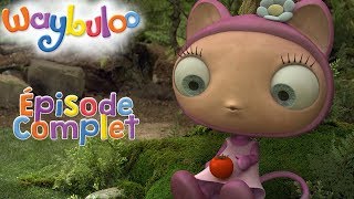 Waybuloo  Attrape la Tomabelle   🧘 ÉPISODE COMPLET 🌳 ZeeKay Junior Français [upl. by Alilad519]