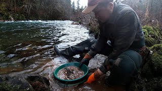 How to Find Placer Gold  River Record [upl. by Eirovi]