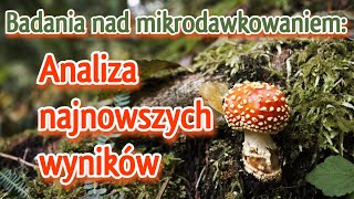 BADANIA NAD MIKRODAWKOWANIEM Analiza najnowszych wyników [upl. by Assela]