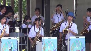 Free Hills Jazz Orchestra quotdays of wine and rosesquot 20240727 「Monterey Jazz Festival in NOTO」 [upl. by Annol]