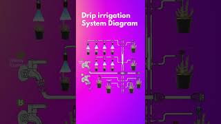 🇺🇸Americaல Drip Irrigation System WiFi Sprinkler System App Controlled 🌎 Evaporation Wind💨 [upl. by Elah]