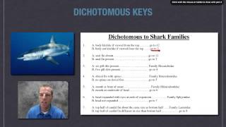 Classifying with Dichotomous Keys [upl. by Nauqel]