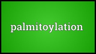 Palmitoylation Meaning [upl. by Neeluqcaj]