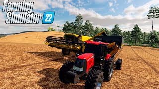 REI DO ALAMBIQUE FINALIZAMOS A COLHEITA DO FEIJÃO COM PREJUIZOS NA CASE FARMING SIMULATOR 22 [upl. by Lewak]