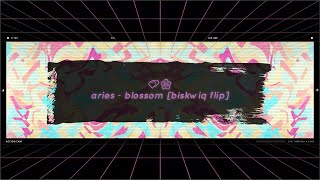 aries  blossom biskwiq flip Lyric Video [upl. by Bosch]