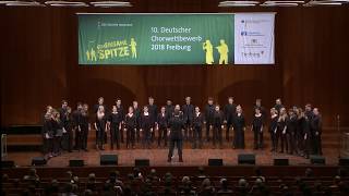 10 DCWPreisträgerkonzert II Kammerchor der Musikhochschule Mannheim Mai 2018 [upl. by Einhoj]