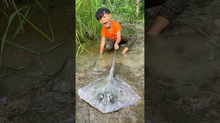 Survival Skills SIMPLE and USEFUL with stingray fish bushcraft camping outdoor [upl. by Stilu308]