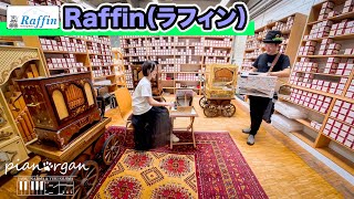 【世界一周】🇩🇪「Raffin」ドイツの２大手回しオルガンメーカーに行って来ました！記念にそこで一曲♪「the entartainer」 [upl. by Karalynn]