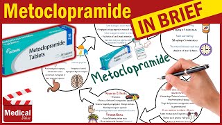 Metoclopramide Reglan 10 mg What is Metoclopramide Used For Dosage Side Effects amp Precautions [upl. by Yllrebmik]