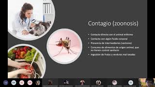 Clase de infectología  Generalidades de los helmintos [upl. by Annahtur]