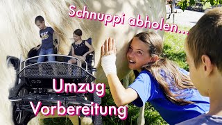 Umzugsvorbereitungen amp Sternschnuppe wird abgholt [upl. by Kosiur]