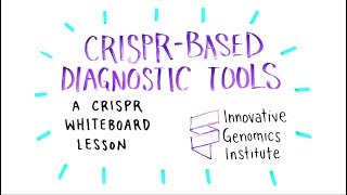 CRISPRBased Diagnostic Tools  A CRISPR Whiteboard Lesson [upl. by Cloots]